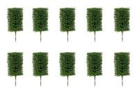 10 Vorgartenb�ume, Buchsbaum,     NEU