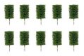 10 Vorgartenb�ume, Buchsbaum,     NEU