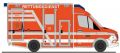 GSF RTW �RETTUNGSDIENST BASF M�NSTER�    1:87